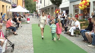 Zwickauer Magazinstraße feiert 3 Straßenfest [upl. by Ellenaej]