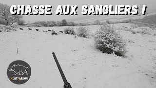 Chasse aux sangliers  De la neige des sangliers [upl. by Rosenquist]