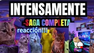 reacción de intensamente pero con gatos  Iker Planet EmmayCatos [upl. by Rentschler]