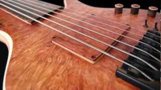 Adamovic Halo 6String Fretless [upl. by Ahset]