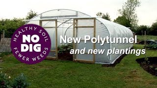 New polytunnel new plantings May to early June with the annual no dig soil prep [upl. by Yelnoc]