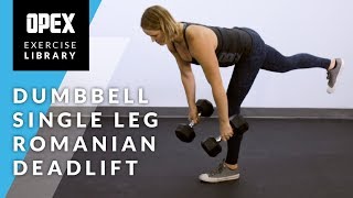 Dumbbell Single Leg Romanian Deadlift  OPEX Exercise Library [upl. by Arahs404]