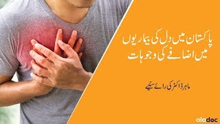 What Are The Major Causes Of Heart Diseases Dill Ki Bemario Ki Waja Urdu Hindi Disease Prevention [upl. by Enelec5]