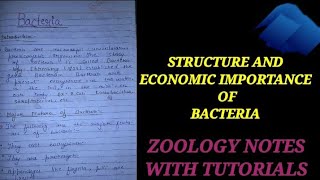 STRUCTURE AND ECONOMIC IMPORTANCE OF BACTERIA bacteriainhindi zoologynotes bacteria biology cel [upl. by Artinad513]