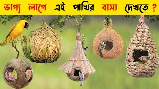 ১০টি এমন পাখির বাসা যা দেখার জন্য কপাল লাগে  Most Beautiful Bird Nests In The World  Birds Nests [upl. by Ennirac14]