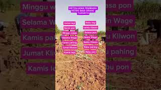 Weton anak pembawa rezekishortsfeeds wetonkelahiran weton fyp [upl. by Margarethe]