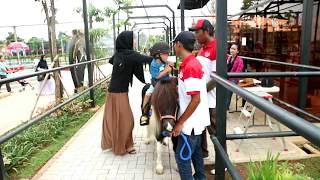 Branchsto Equistrian Park Seru Naik Kuda Poni serta Memanah Vlog 8 [upl. by Flower718]