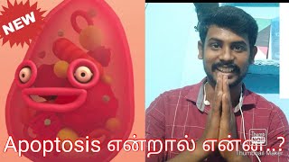 ApoptosisProgrammed Cell Death in Tamil [upl. by Ellenwad]