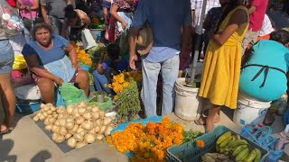 TEMPORADA DE JICAMAS YAM BEAN EN LOS MERCADOS DE GUERRERO MÉXICO 😀🧄🧅🎃 [upl. by Thorner]