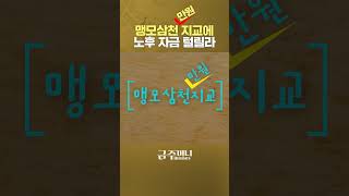 맹모삼천만원지교에 노후 자금 털릴라ㅣ금융카페 금주머니TV shorts [upl. by Keating]