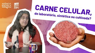 Entenda o processo de produção da carne cultivada [upl. by Manson858]