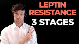 3 Stages of Leptin Resistance and what they mean for weight loss [upl. by Pasco]