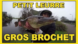 BROCHET du Bord  la pêche ultra rentable à la cuillère [upl. by Riki178]