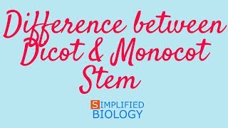 DIFFERENCE BETWEEN DICOT amp MONOCOT STEM for NEET AIIMS AIPMT JIPMER PREMED [upl. by Inahc]