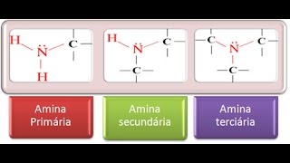 Aminas Concepto y Ejemplos [upl. by Callum]