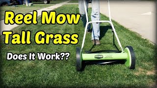 Reel Mowing Tall Grass [upl. by Tuck]