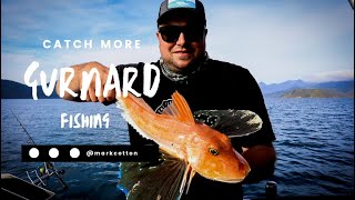 Catch more Gurnard  Tweak Your Rigs [upl. by Anwahsad]