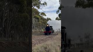 TRAINS AM22 Lots of steam from this Rx Steam loco Amongst the gum trees with a Steam Train amp Alco [upl. by Ellehciram]