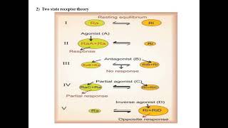 Receptor Theory Receptor occupation model amp Two state receptor theory [upl. by Tannen822]