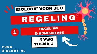 5 vwo  Regeling  1  Regeling amp Homeostase [upl. by Barbe]