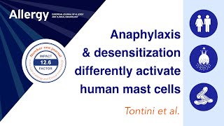 Anaphylaxis and desensitization differently activate and induce IL8 release by human mast cells [upl. by Airotkciv105]