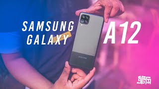 Samsung Galaxy A12 Review  Best quotBudget Smartphonequot [upl. by Eliath181]