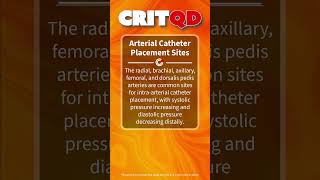 Arterial Catheter Placement Sites [upl. by Llenod294]