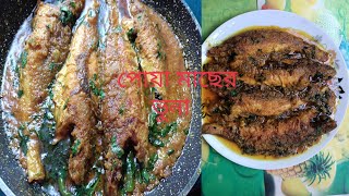 অসাধারণ পোয়া মাছের ভুনা রেসিপি।How to cook poya fish vuna recipe [upl. by Ainevul]