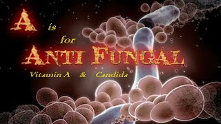 A is for AntiFungal Vitamin A and Candida [upl. by Inilahs]