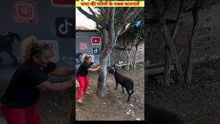 पापा की परियों के गजब कारनामें😂Funny Fails Clip 😀 देखकर चौंक जाओगे 😁factsneek [upl. by Anuahsar385]