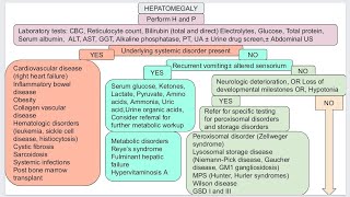 Hepatomegaly in pediatric [upl. by Earas]