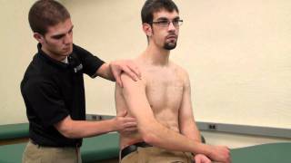 Supraspinatus Tendon Rupture Assessment  Palpation of Uninjured Limb [upl. by Deva]