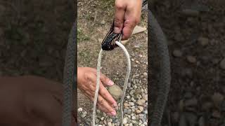 Essential knotting skills for outdoor camping Efficient and practical [upl. by Shanahan804]