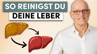 Leber heilen So reinigst du deine Leber effektiv [upl. by Ethelda]