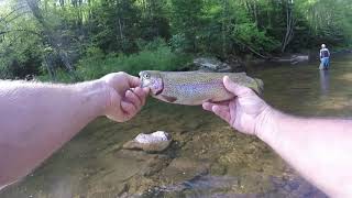 West Virginia rail stocking trout fishing [upl. by Adore]