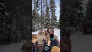 Sleigh Ride Adventure Fun at The Bar W Guest Ranch [upl. by Anastice]