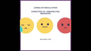 Zones of Regulation Lesson 5 Understanding Different Perspectives [upl. by Nilknarf126]