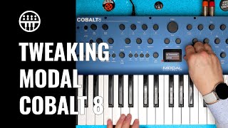 Tweaking the Modal Cobalt 8  Review Sounds amp Jam  Thomann [upl. by Korns82]