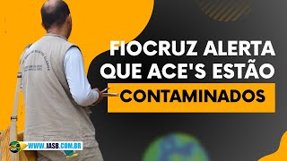 Fiocruz alerta que Agentes de Combate às Endemias estão contaminados [upl. by Aip280]