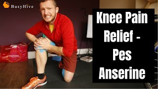 Knee Pain  4 steps how to treatment Pes Anserine [upl. by Yelsnya]