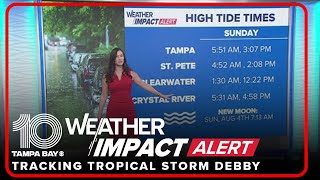 Countybycounty impacts of Tropical Storm Debby across Tampa Bay [upl. by Ahseya855]