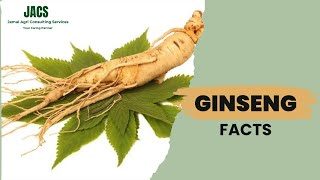 Ginseng Facts  Health Benefits amp Uses [upl. by Hubbard330]