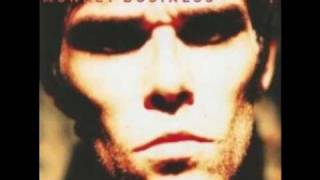 Ian Brown  My Star [upl. by Lovash43]