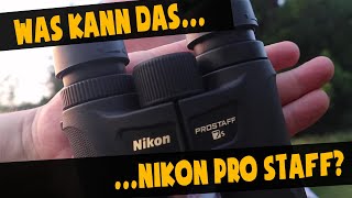 Fernglas Nikon Prostaff 7S Erfahrungen  Survival Ausrüstung [upl. by Yregerg]