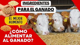 ALIMENTO PARA GANADO  ¿QUÉ INGREDIENTES NECESITO  ¿CÓMO ALIMENTAR GANADO [upl. by Leunamme]