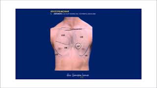 1 EF pulmonar INTRODUÇÃO [upl. by Teria]