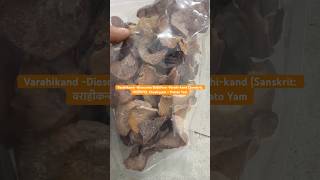 Varahikand Dioscorea Bulbifera Varahikand Sanskrit वराहीकन्द Cheekyyam – Potato Yam [upl. by Sesmar]