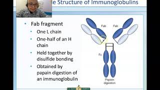 Antibody Structure and Function [upl. by Nefets316]