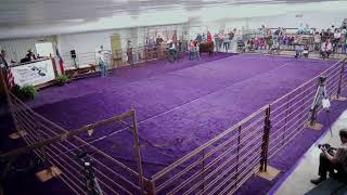 Mason County Livestock Show Live Stream [upl. by Irim]