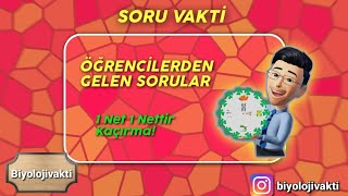 Gelen SORULAR29  Hücre zarında madde geçişleri  Ozmos Hipertonik Hipotonik  İzotonik [upl. by Vyner358]